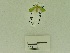  ( - USNM ENT 00666540)  @12 [ ] Unspecified (default): All Rights Reserved  Unspecified Unspecified