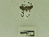  ( - USNM ENT 00666541)  @12 [ ] Unspecified (default): All Rights Reserved  Unspecified Unspecified