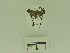  ( - USNM ENT 00666575)  @12 [ ] Unspecified (default): All Rights Reserved  Unspecified Unspecified
