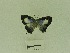  ( - USNM ENT 00666581)  @12 [ ] Unspecified (default): All Rights Reserved  Unspecified Unspecified