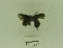  ( - USNM ENT 00666586)  @12 [ ] Unspecified (default): All Rights Reserved  Unspecified Unspecified
