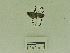  ( - USNM ENT 00666590)  @12 [ ] Unspecified (default): All Rights Reserved  Unspecified Unspecified