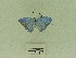  ( - USNM ENT 00666597)  @12 [ ] Unspecified (default): All Rights Reserved  Unspecified Unspecified