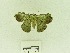  ( - USNM ENT 00667640)  @11 [ ] Unspecified (default): All Rights Reserved  Unspecified Unspecified