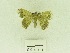 ( - USNM ENT 00667654)  @12 [ ] Unspecified (default): All Rights Reserved  Unspecified Unspecified