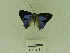  ( - USNM ENT 00667800)  @13 [ ] Unspecified (default): All Rights Reserved  Unspecified Unspecified