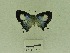  ( - USNM ENT 00667804)  @12 [ ] Unspecified (default): All Rights Reserved  Unspecified Unspecified