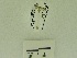  ( - USNM ENT 00667867)  @12 [ ] Unspecified (default): All Rights Reserved  Unspecified Unspecified