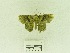  ( - USNM ENT 00667922)  @12 [ ] Unspecified (default): All Rights Reserved  Unspecified Unspecified