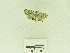  ( - USNM ENT 00667943)  @12 [ ] Unspecified (default): All Rights Reserved  Unspecified Unspecified