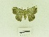  ( - USNM ENT 00668450)  @12 [ ] Unspecified (default): All Rights Reserved  Unspecified Unspecified