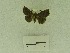  ( - USNM ENT 00703012)  @12 [ ] Unspecified (default): All Rights Reserved  Unspecified Unspecified