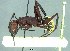  ( - 38750_HYM-C001211_storeatus_G09)  @11 [ ] Copyright (2021) Iziko Museums of South Africa Iziko Museums of South Africa