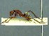  ( - 38750_HYM-C001215_storeatus_G07)  @11 [ ] Copyright (2021) Iziko Museums of South Africa Iziko Museums of South Africa