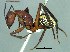  ( - 38750_HYM-C019493_storeatus_G05)  @11 [ ] Copyright (2021) Iziko Museums of South Africa Iziko Museums of South Africa