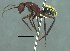  ( - 38750_HYM-C021305_storeatus_F09)  @11 [ ] Copyright (2021) Iziko Museums of South Africa Iziko Museums of South Africa