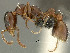  ( - SAM_HYM_CO19402)  @11 [ ] Copyright (2012) Nokuthula Mbanyana Iziko Museums of Cape Town