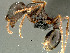  ( - SAM-HYM-C018900)  @11 [ ] Copyright (2012) Nokuthula Mbanyana Iziko Museums of Cape Town
