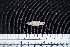  ( - FSCH182)  @11 [ ] CreativeCommons - Attribution Non-Commercial Share-Alike (2014) Rocio Rodiles Hernandez El Colegio de la Frontera Sur