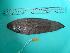  ( - SCSIO-Fish-Z711035)  @12 [ ] Unspecified (default): All Rights Reserved  Unspecified Unspecified