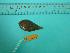  ( - SCSIO-Fish-Z711041)  @13 [ ] Unspecified (default): All Rights Reserved  Unspecified Unspecified
