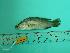  ( - SCSIO-Fish-Z711167)  @13 [ ] Unspecified (default): All Rights Reserved  Unspecified Unspecified