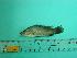  ( - SCSIO-Fish-Z711172)  @12 [ ] Unspecified (default): All Rights Reserved  Unspecified Unspecified