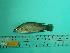  ( - SCSIO-Fish-Z711174)  @12 [ ] Unspecified (default): All Rights Reserved  Unspecified Unspecified