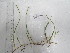  ( - SSS246)  @11 [ ] CreativeCommons - Attribution Non-Commercial Share-Alike (2017) Shalini Singh University of the South Pacific
