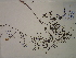  ( - SEBB-1301)  @11 [ ] Copyright (2012) John Barone Columbus State University