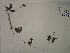  ( - SEBB-1285)  @11 [ ] Copyright (2012) John Barone Columbus State University