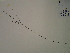  ( - SEBB-1376)  @11 [ ] Copyright (2012) John Barone Columbus State University