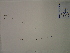  ( - SEBB-1377)  @11 [ ] Copyright (2012) John Barone Columbus State University