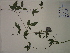  ( - SEBB-1378)  @11 [ ] Copyright (2012) John Barone Columbus State University