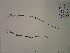  ( - SEBB-1369)  @11 [ ] Copyright (2012) John Barone Columbus State University