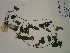  ( - SEBB-1399)  @11 [ ] Copyright (2012) John Barone Columbus State University