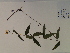  ( - SEBB-1288)  @11 [ ] Copyright (2010) John Barone Columbus State University