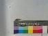  ( - FSH.GUIL.08.20191120.1.0050.DNA)  @11 [ ] by (2019) National Ecological Observatory Network National Ecological Observatory Network