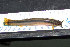  ( - SNF A5-3)  @12 [ ] CreativeCommons - Attribution Non-Commercial Share-Alike (2013) Robert J Eakins EcoMetrix Incorporated