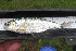  ( - SNF T7-1)  @13 [ ] CreativeCommons - Attribution Non-Commercial Share-Alike (2013) Robert J Eakins EcoMetrix Incorporated