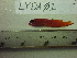  ( - LYDA-01)  @11 [ ] No Rights Reserved  Unspecified Unspecified