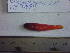  ( - LYDA-04)  @11 [ ] No Rights Reserved  Unspecified Unspecified