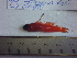  ( - LYDA-05)  @11 [ ] No Rights Reserved  Unspecified Unspecified