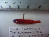  ( - LYDA-06)  @11 [ ] No Rights Reserved  Unspecified Unspecified