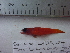  ( - LYDA-07)  @11 [ ] No Rights Reserved  Unspecified Unspecified