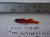  ( - LYDA-09)  @11 [ ] No Rights Reserved  Unspecified Unspecified