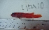  ( - LYDA-10)  @11 [ ] No Rights Reserved  Unspecified Unspecified