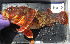  ( - NH-15)  @14 [ ] No Rights Reserved  Unspecified Unspecified