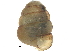  ( - BIOUG24635-G01)  @14 [ ] CreativeCommons - Attribution (2016) CBG Photography Group Centre for Biodiversity Genomics