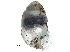  ( - BIOUG24635-G06)  @11 [ ] CreativeCommons - Attribution (2016) CBG Photography Group Centre for Biodiversity Genomics